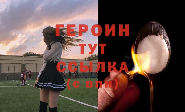 молекула духа Осташков